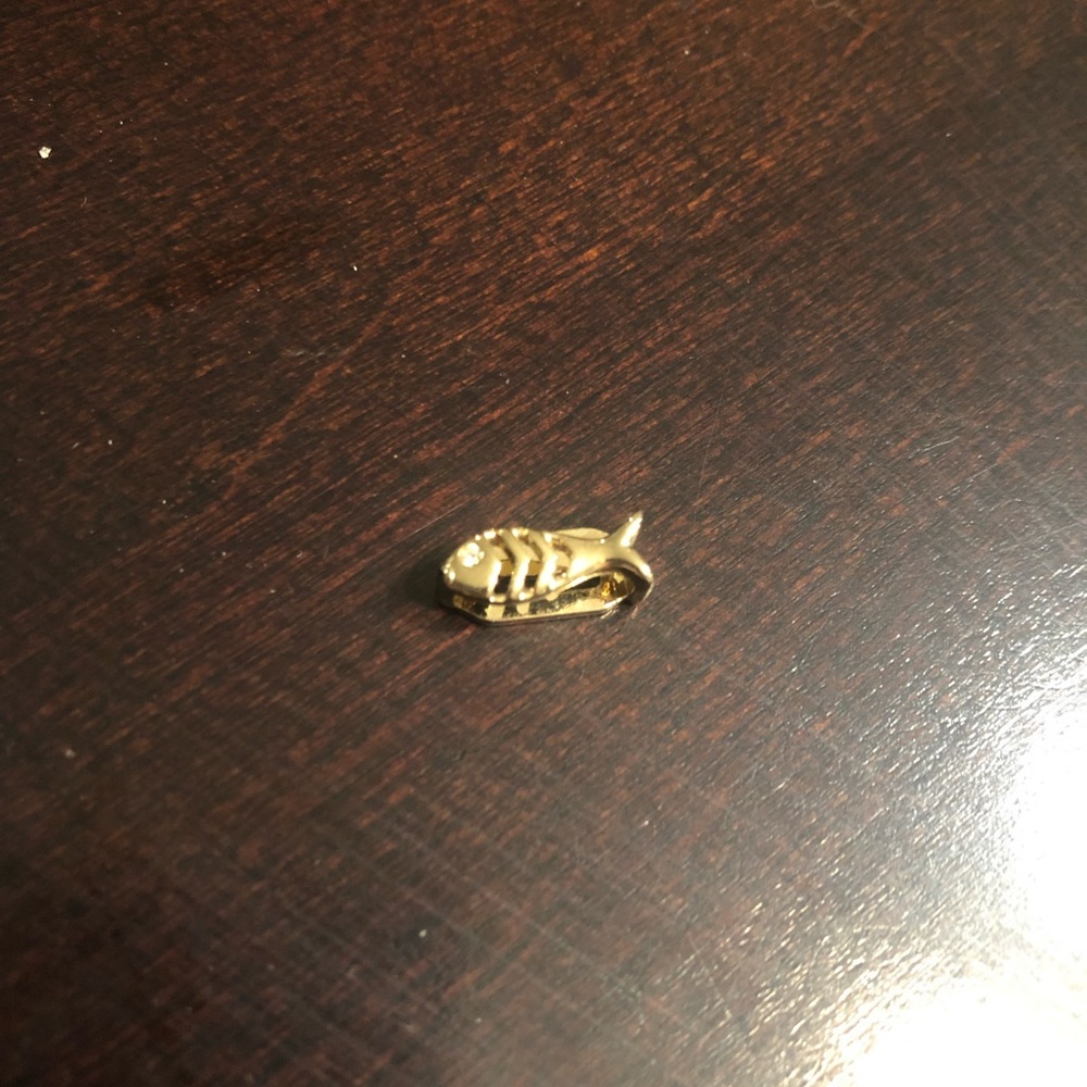 Keep collective gold fish (bones) charm